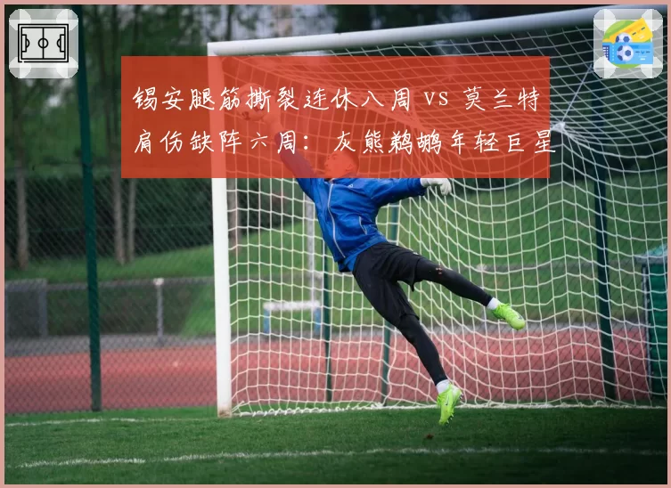 锡安腿筋撕裂连休八周 vs 莫兰特肩伤缺阵六周:灰熊鹈鹕年轻巨星治疗理念全解析