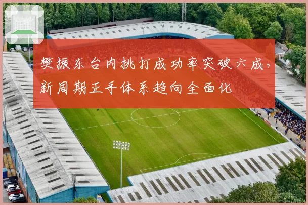 樊振东台内挑打成功率突破六成,新周期正手体系趋向全面化