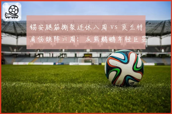 锡安腿筋撕裂连休八周 vs 莫兰特肩伤缺阵六周:灰熊鹈鹕年轻巨星治疗理念全解析