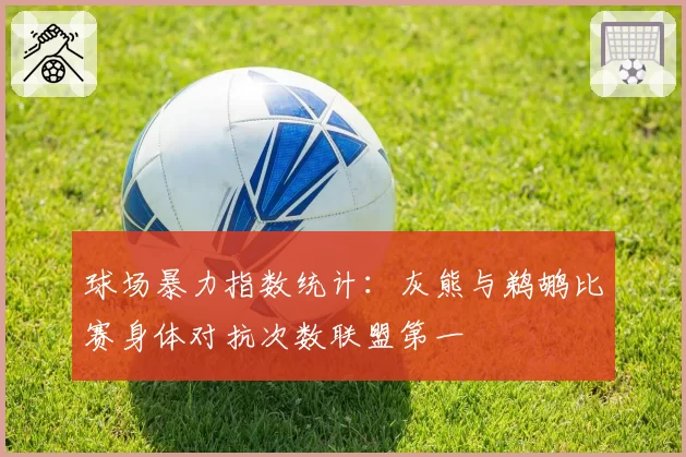 球场暴力指数统计：灰熊与鹈鹕比赛身体对抗次数联盟第一